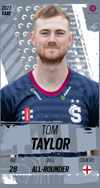Tom Taylor Collectible Surface Thumbnail