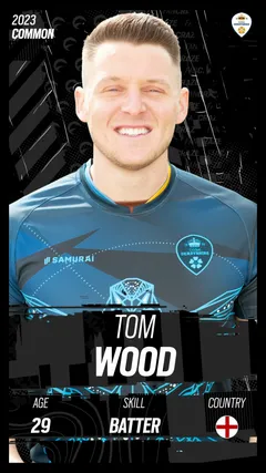Tom Wood Collectible Surface Thumbnail