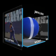 Vicky Ostwal Collectible Surface Thumbnail