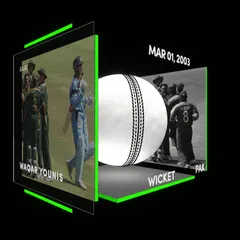 Waqar Younis Collectible Surface Thumbnail