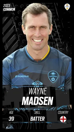 Wayne Madsen Collectible Surface Thumbnail