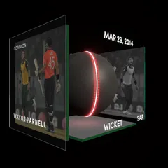 Wayne Parnell Collectible Surface Thumbnail