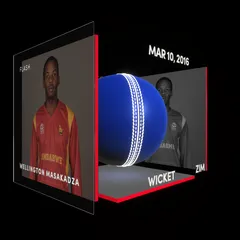 Wellington Masakadza Collectible Surface Thumbnail